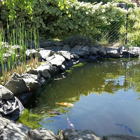 Fuer Sieben Personen Friedrichshausen